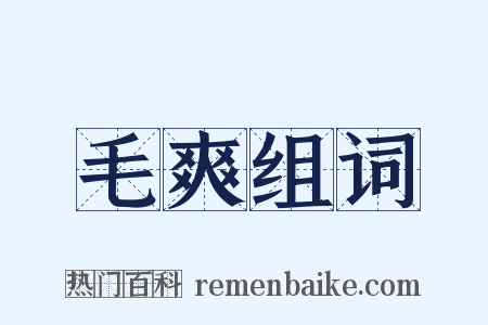 毛爽组词是什么意思的图片